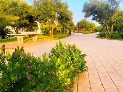 a park with a picnic table and some flowers at Cosy calm 2BDR central near train & tramway in Casablanca
