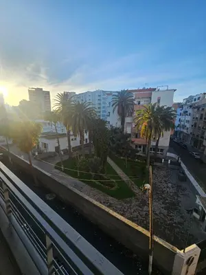 a view of a city with palm trees and buildings at Studio spacieux plein centre in Casablanca