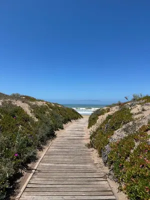 a wooden path leading down to the beach at Mazagan private villa in El Jadida