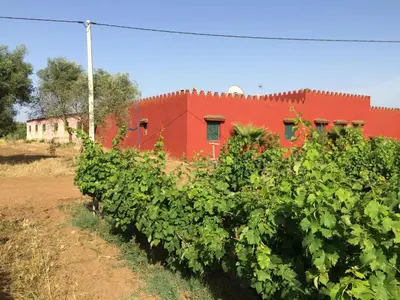 a red building with plants in front of it at premium farmhouse with pool Rabat in Rabat