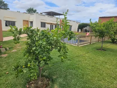 an apple tree in the yard of a house at premium farmhouse with pool Rabat in Rabat