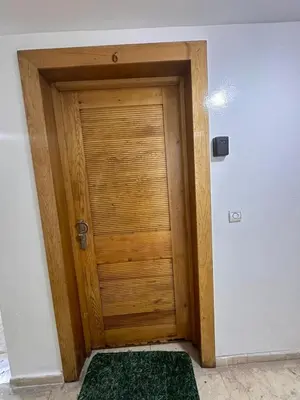 a wooden door in a room with a green rug at Studio au cœur du centre ville de Casablanca in Casablanca
