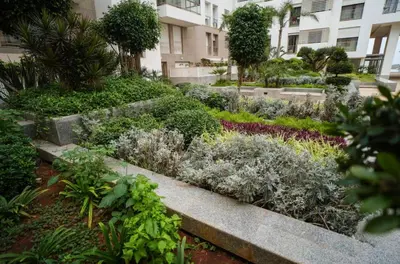 a garden with bushes and plants in a building at Ocean Pearl Luxury Stay by Sea in Casablanca
