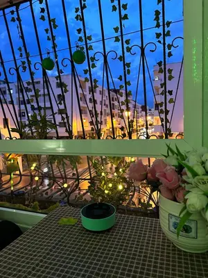 a view of a city from a balcony with flowers at Emplacement idéal chambre Privée in Rabat