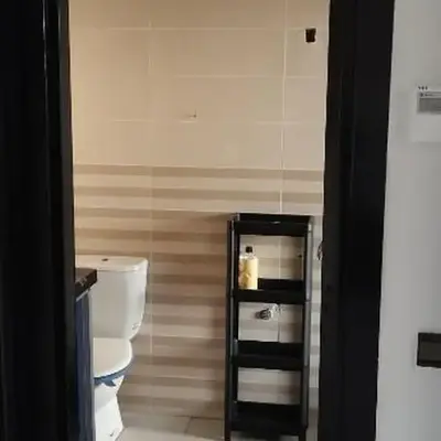 المنصورية