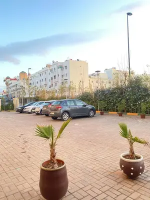two potted plants in a parking lot with cars at La perle bleu face à la mer Rabat in Rabat