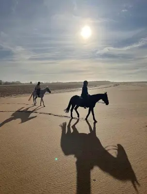two people riding horses on the beach with their shadows at Logement cozy in Oulad Kerroum