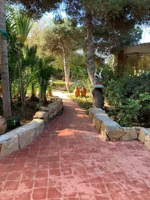 a brick walkway with a tree and some plants at Palmeraie 3 in Skhirat