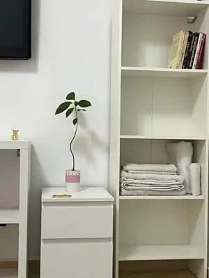 a potted plant sitting on a white book shelf at Private room 2 in Casablanca