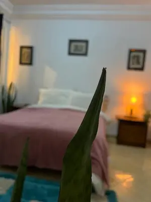 a bedroom with a bed and a green plant at Private room 2 in Casablanca