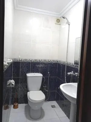a bathroom with a toilet and a sink at Hyatt Residence Casa Voyageur in Casablanca