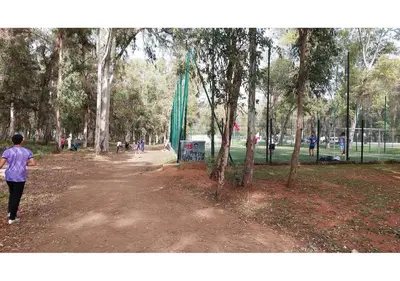 a man is walking in a park with trees at Cosy cocon urbain 34 in Rabat