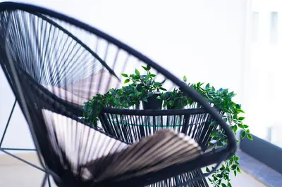a black chair with a potted plant on a balcony at Premium Stay - Lux Housing Bourgogne in Casablanca