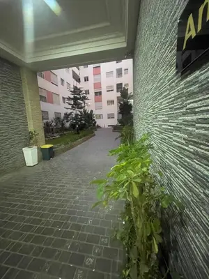 a plant is growing in front of a building at Avenue cimetière bourgogne Casablanca in Casablanca