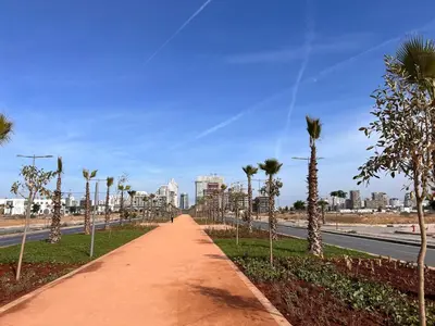 a pathway with palm trees on the side of a road at Studio de luxe in Casablanca