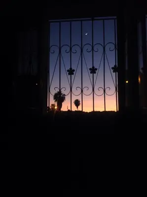a sunset seen through a gate with palm trees at Spacious apartment in Settat