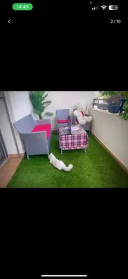 a living room with colorful furniture and green grass at Mark in Temara