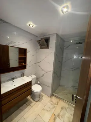 a bathroom with a sink and a toilet and a shower at RÉSIDENCE LE BIjOU DE L'AGDAL in Rabat