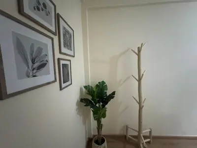 a room with a plant and pictures on the wall at super studio vue sur mer pour les familles in Rabat