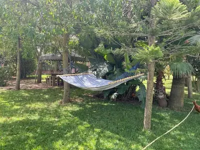 a hammock in the middle of a yard with trees at Magnifique Chalet en bois collé à la forêt de Benslimane in O Ben Slimane