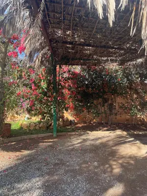 a pergola with pink flowers on a wall at Magnifique Chalet en bois collé à la forêt de Benslimane in O Ben Slimane