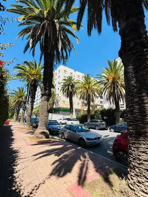a row of palm trees in a parking lot with cars at Appartement Miramar vue panoramique Mohammedia in Mohammedia