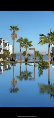 a reflection of palm trees in a pool of water at Ultimate ocean luxury in Tamaris