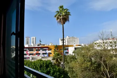 a palm tree and a view from a window at Le Palmier - By Mi-Haven in Casablanca
