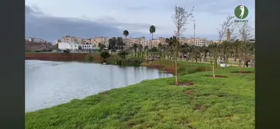 a body of water with palm trees and buildings at Studio de la perle in Casablanca