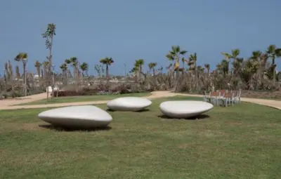 four surfboards laying on the grass in a field at Évasion zen près de Casablanca - Vue imprenable sur le parc et la plage de l'Éco City Zenata in Aïn Harrouda