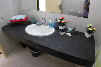 a bathroom counter with a sink and flowers on it at Apartment Nahda Rabat in Rabat