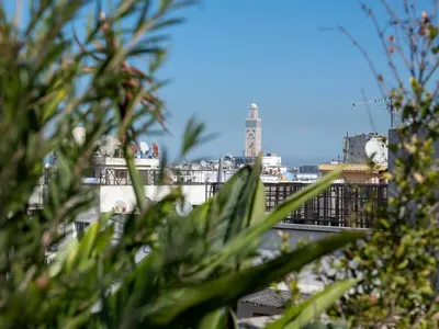 a view of a city from behind some plants at Cozy & Modern Apartment with Rooftop Gym Great Casablanca Location in Casablanca