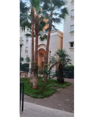 a group of palm trees in front of a building at Appartement Magnifique au coeur de la Corniche de Rabat in Rabat
