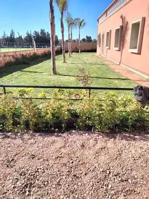 a dog standing next to a fence in a yard at Ferme a Ain Tizgha Benslimane in O Ben Slimane