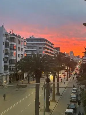 a city street with palm trees and a sunset at Luxurious studio with view gym parking and keyless access in Casablanca