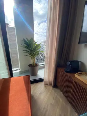 a room with a potted plant and a large window at Studio moderne rooftop et gym Triangle d or casablanca in Casablanca