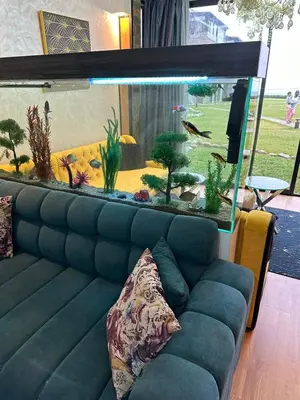 a living room with a couch and a fish tank at Appartement à Dar bouaaza in Tamaris