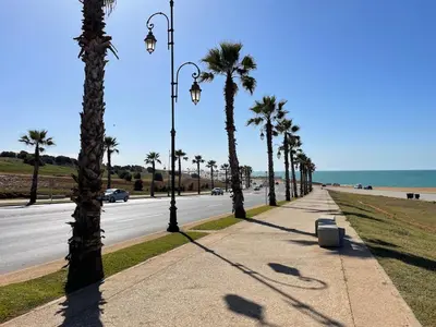 a sidewalk with palm trees on the side of a road at Charming Villa in Harhoura in Temara