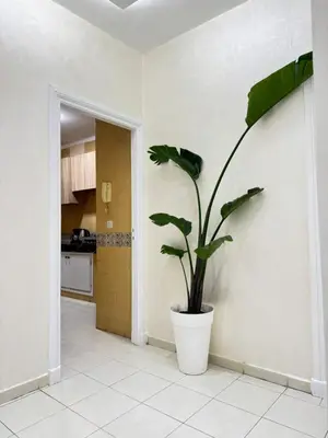 a plant in a white pot on a wall in a kitchen at SUITOUISS - Océan 2 - Panoramic Sea View in Downtown Rabat in Rabat