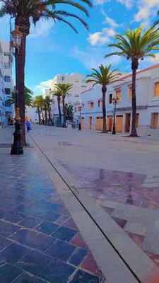 a city street with palm trees and buildings at Hachem in Rabat