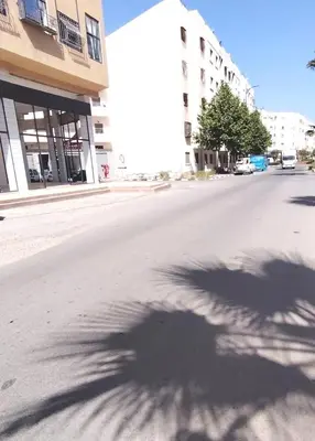 a shadow of a palm tree on a street at Aeroport Tissir Appartement in Nouaceur