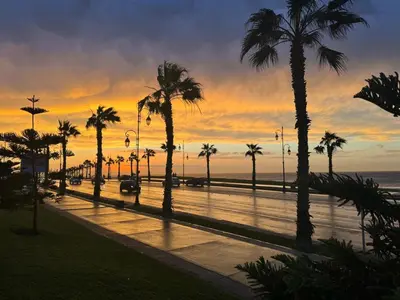 a group of palm trees and the ocean at sunset at Zaouia in Rabat