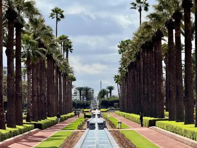 a row of palm trees in a park at Le Claridge - Cosy Studio - By Mi-Haven in Casablanca