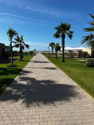 a walkway with palm trees in a park at Villa Blanca - by Nero in Sidi Rahal