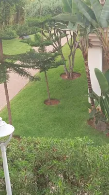 two trees in a yard with a house at Appartement vue piscine à 3min de la plage bouznika in Bouznika