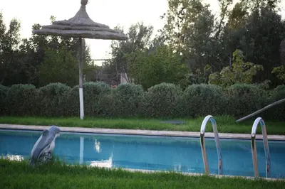 a bird standing in the grass near a swimming pool at Bougainvilla Guesthouse in Sidi Moussa Ben Ali