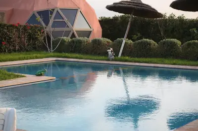 a dog standing next to a swimming pool with an umbrella at Bougainvilla Guesthouse in Sidi Moussa Ben Ali