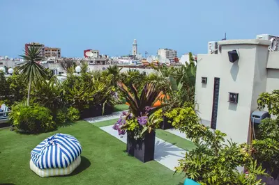 a view of a yard with grass and plants at VIVASTAY Casablanca -Corniche Le claridge Emerauld with gym and rooftop in Casablanca