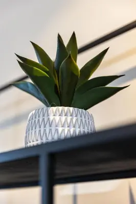 a plant in a silver vase sitting on a table at Cosy Studio - Fitness access & Free Parking & Wifi Fiber in Casablanca