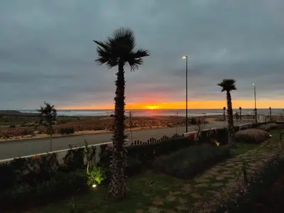 a palm tree with the sunset in the background at Casa Atlantica mit Meerblick und Poolparadies in Mansouria